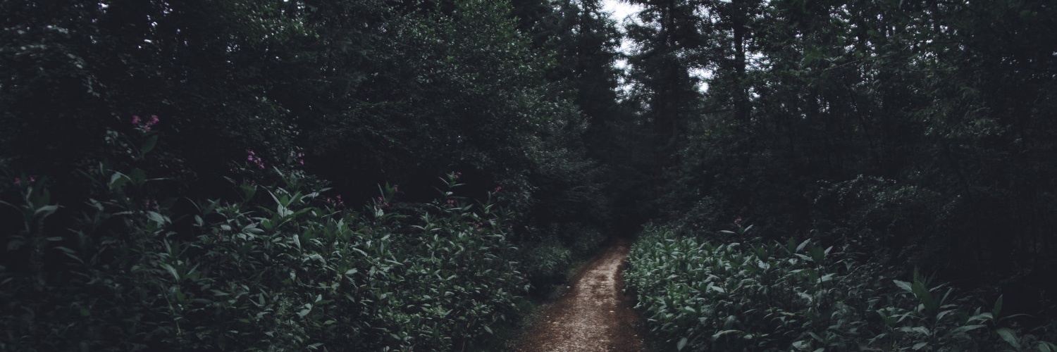 SeverinAnesty's profile banner image