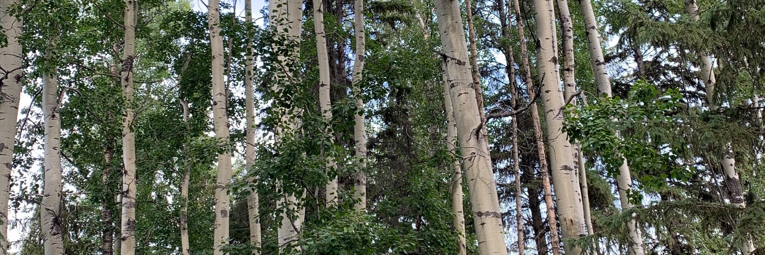 breannemia's profile banner image