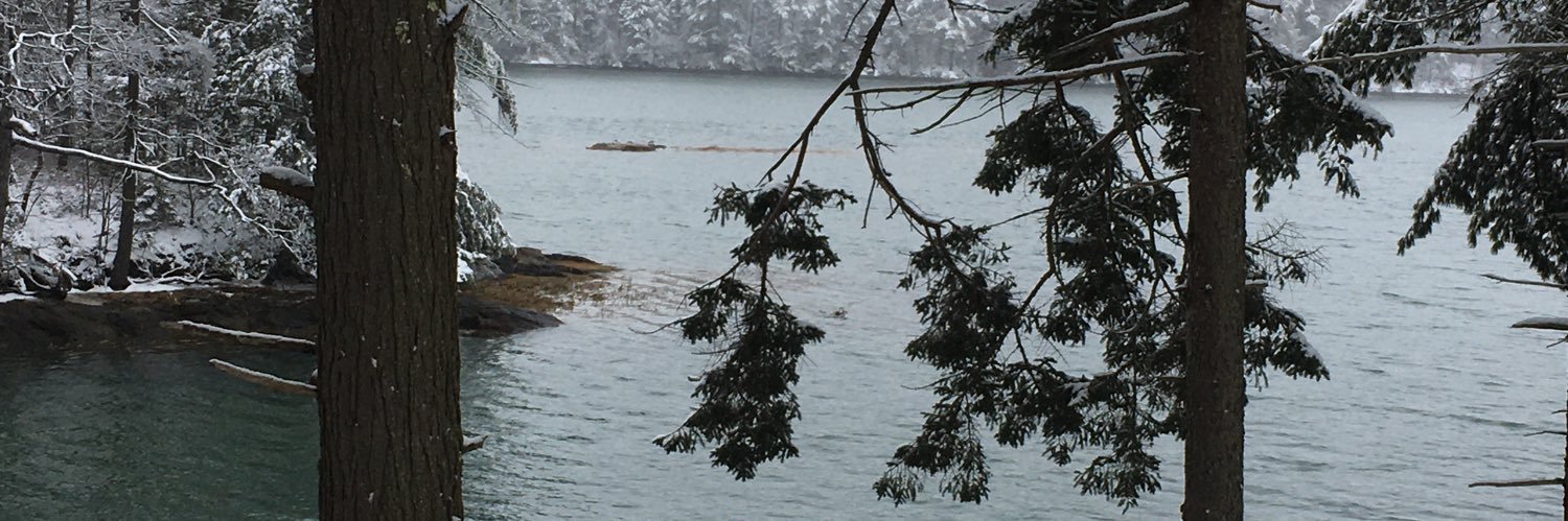 Andrew Giovinazzi banner