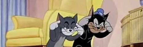 Sr. Cabeça de Vento banner