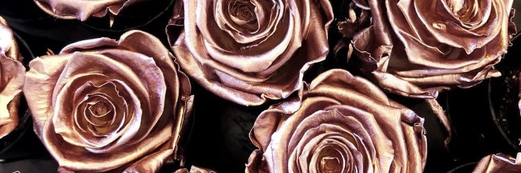 Meg_Luvs_Makeup's profile banner image