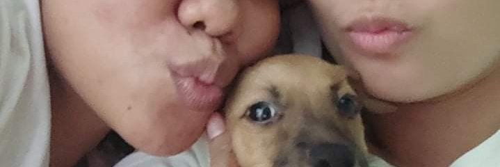 jedayiee's profile banner image