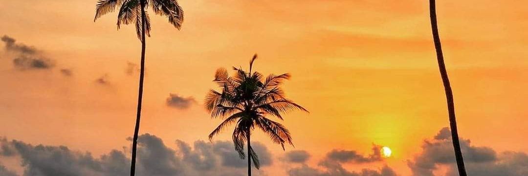 manoramash's profile banner image
