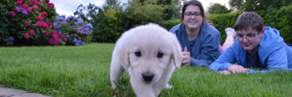 Ruth_Gillian_'s profile banner image