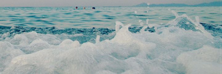 Maitanew's profile banner image