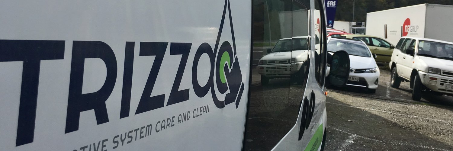 trizzoosystem's profile banner image