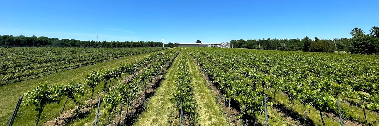 Sébastien Daoust banner