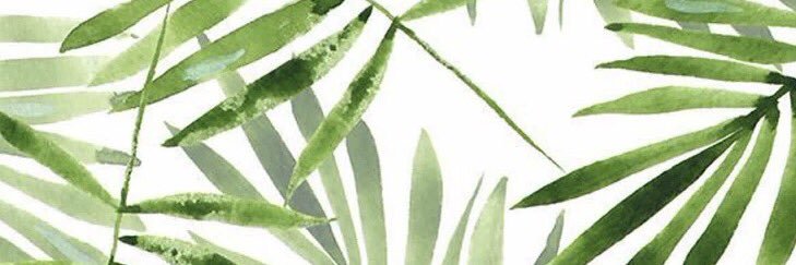 alhanoufx's profile banner image