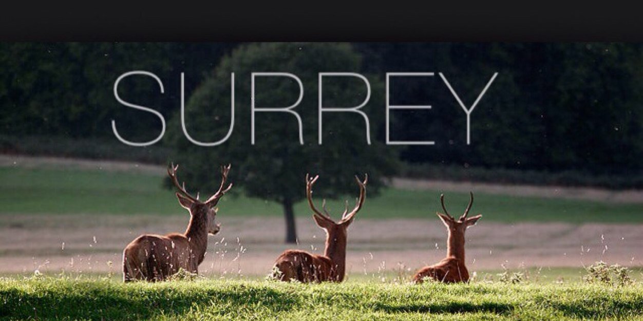 SurreySaudiClub's profile banner image
