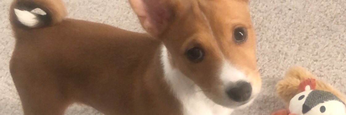 ASheridan66's profile banner image