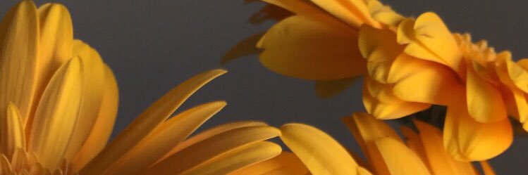 Daryashot's profile banner image