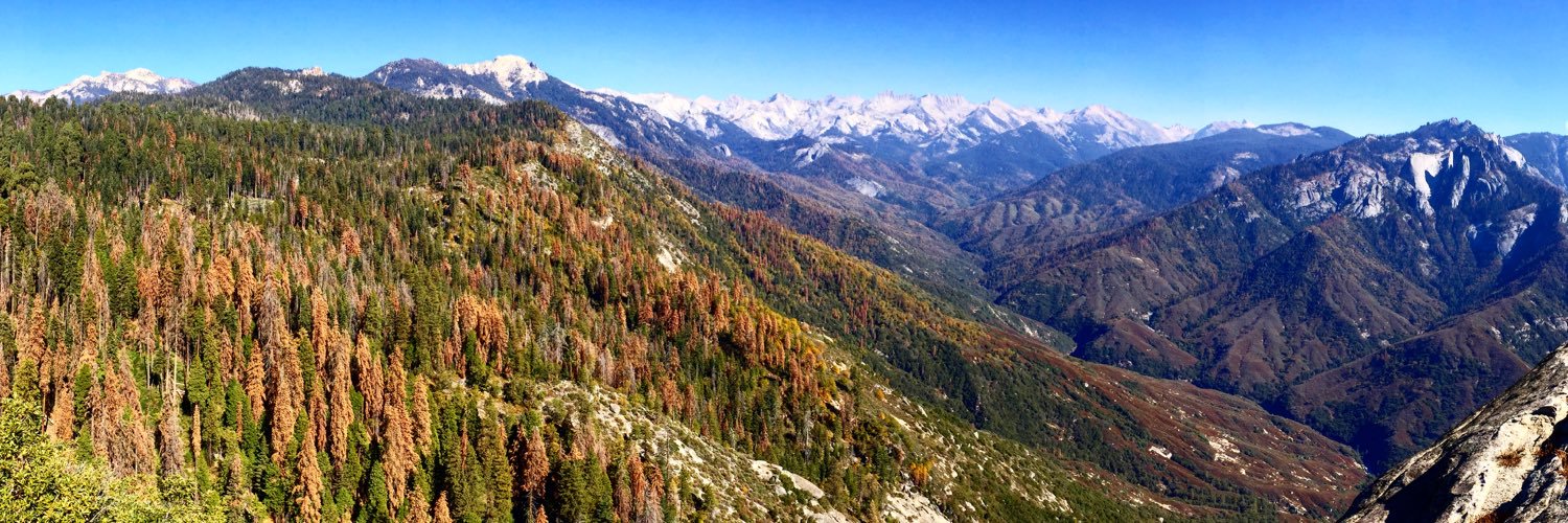 Adrian Arambulo banner