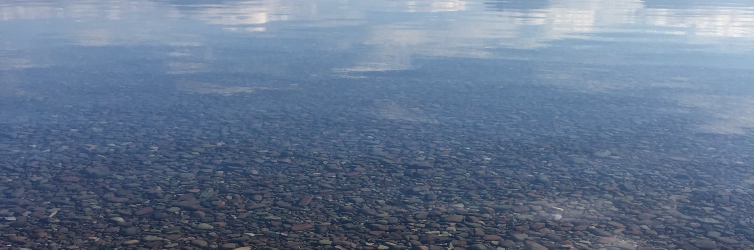 mbeevay's profile banner image