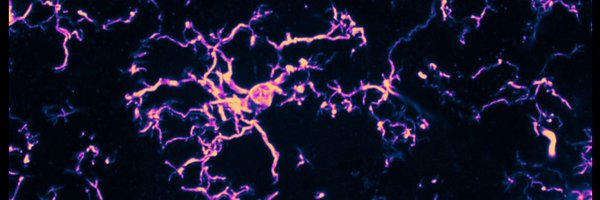 stevens1lab Profile Banner