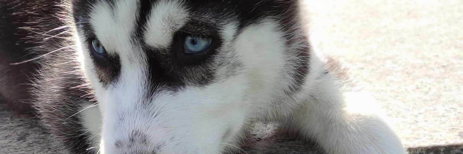 andoniareitio's profile banner image