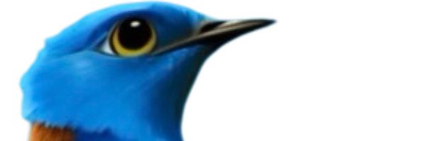 TreBluebirdsFC Profile Banner