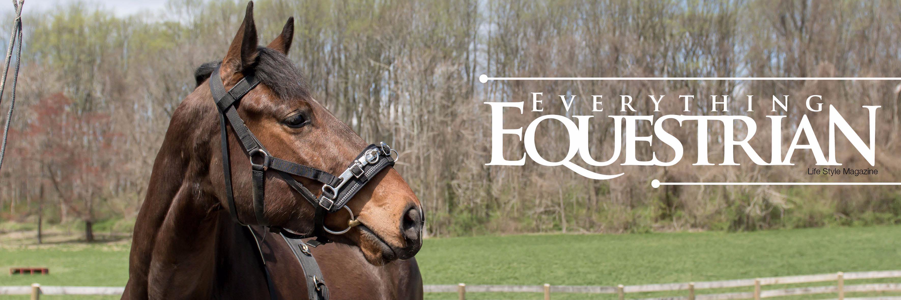 EE_magazinesa's profile banner image