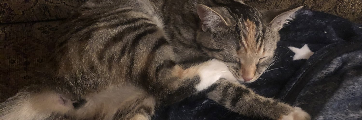 Queen_kai69's profile banner image