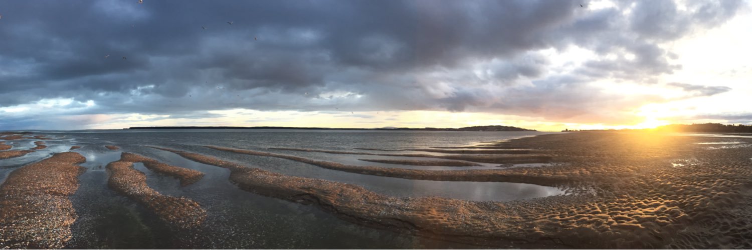 Steven Le Comber banner