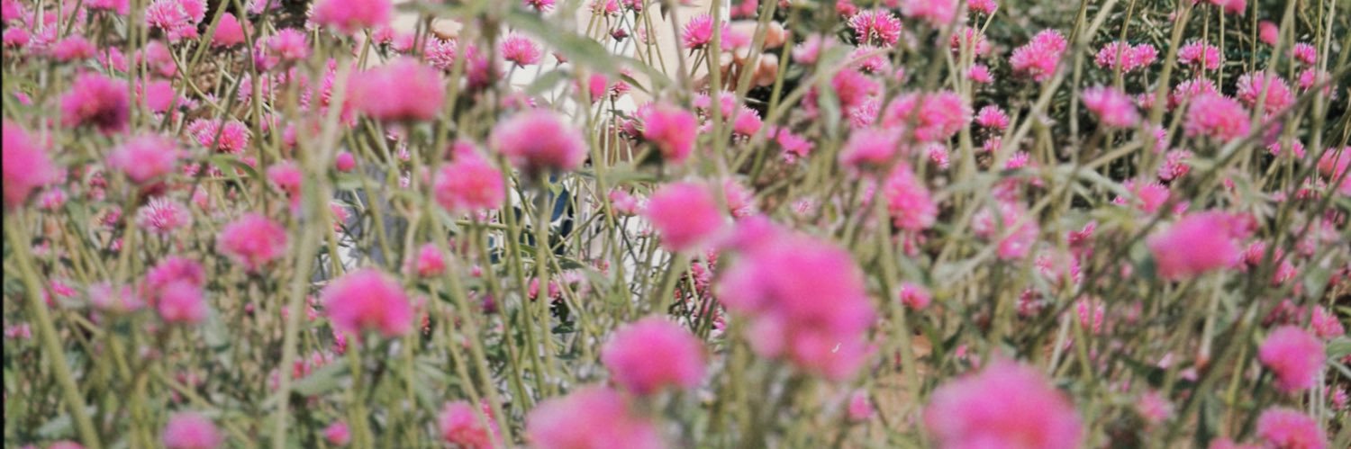 mellysach's profile banner image