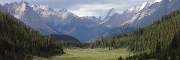 jonsteiman Profile Banner