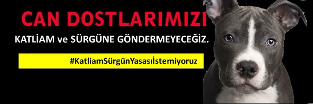 bahtiye altın banner