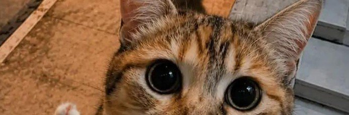 justphill123's profile banner image