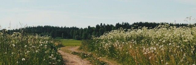 _Seibor_'s profile banner image