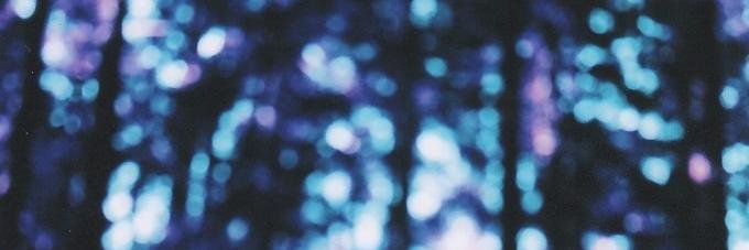 tschernova's profile banner image