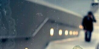 F🌷 banner