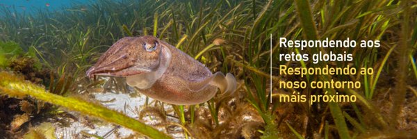 IIM_CSIC Profile Banner