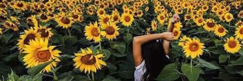 jemjeremjem's profile banner image