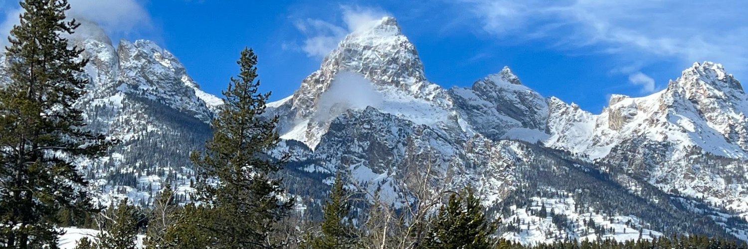 wshipley's profile banner image