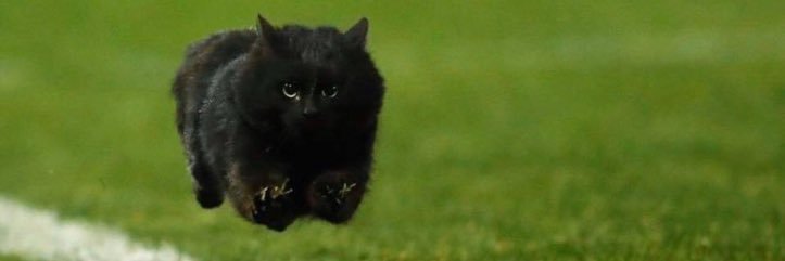 DAllen_02's profile banner image