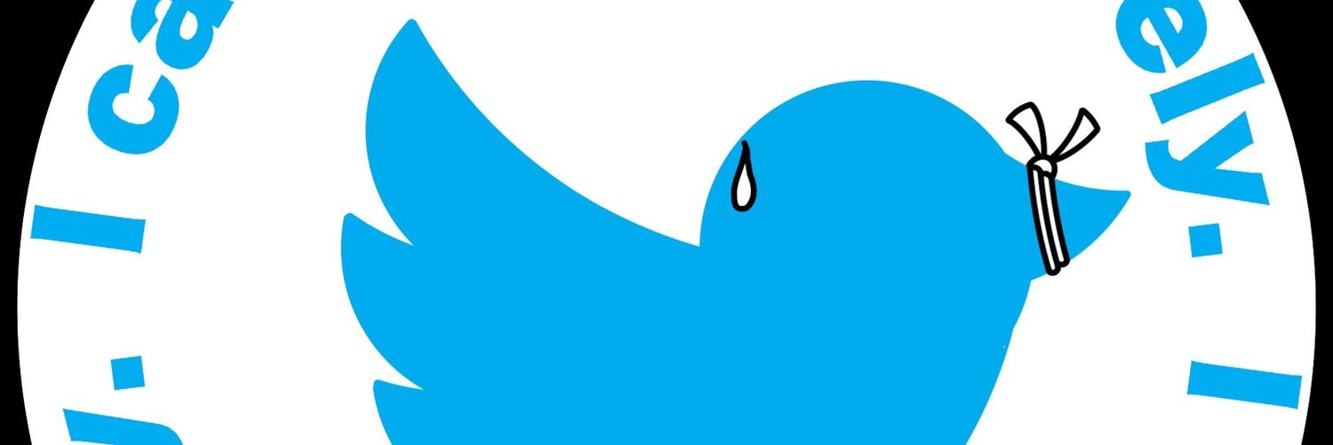 セタ芹沢(Seta) banner