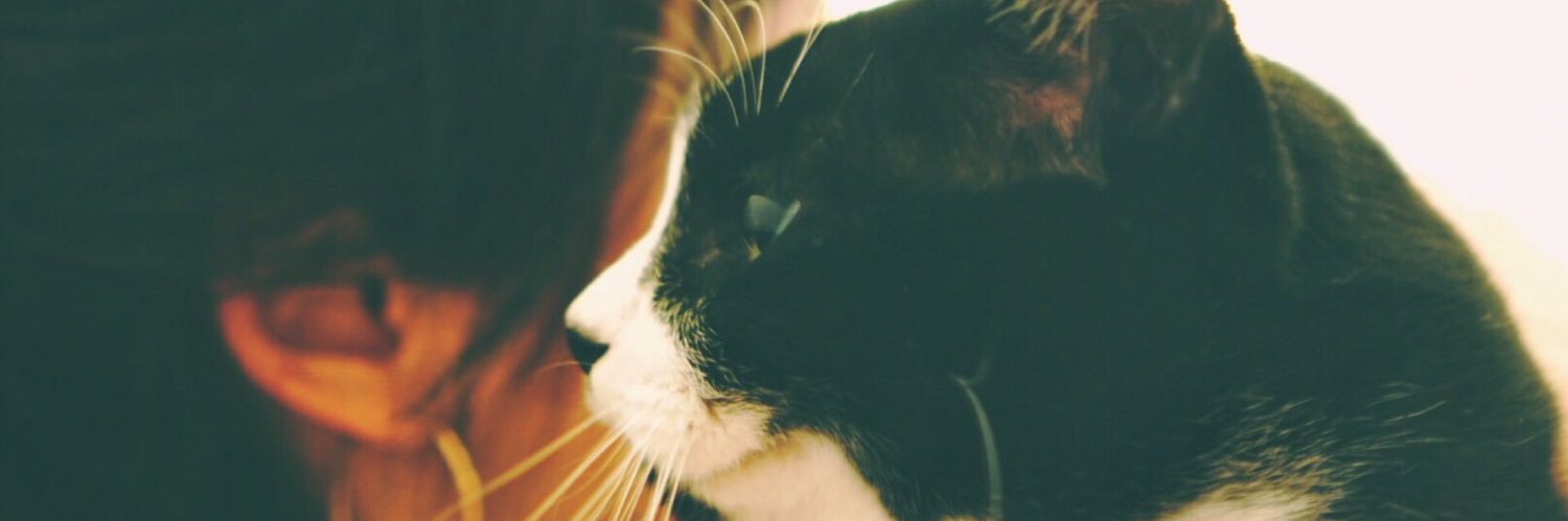 chchannn's profile banner image