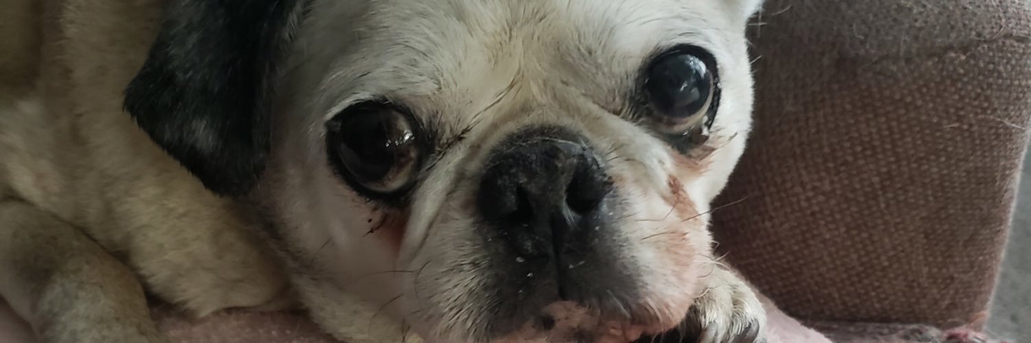 sharonmdev's profile banner image
