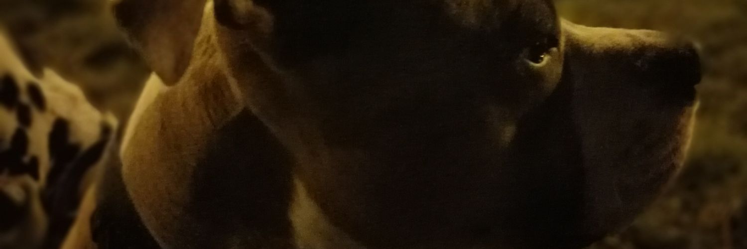 GarmosGZ's profile banner image