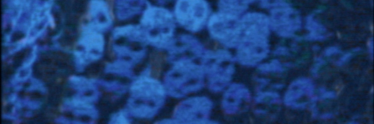 flesh automaton banner