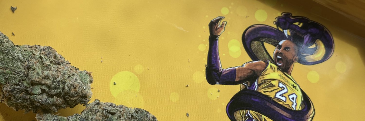 AlwaysPrestiges's profile banner image