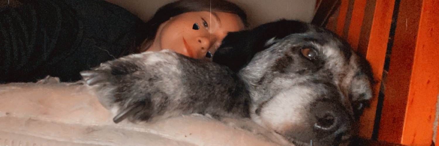 DMackin10's profile banner image