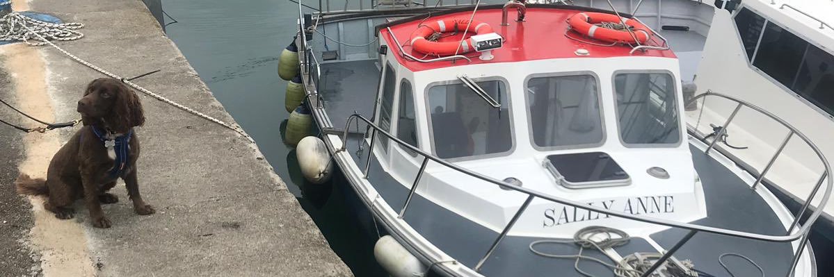 Katherine Bester banner