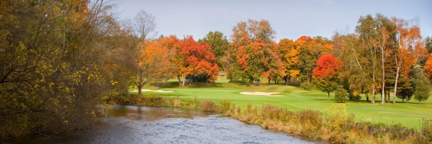 Blythefield CC banner