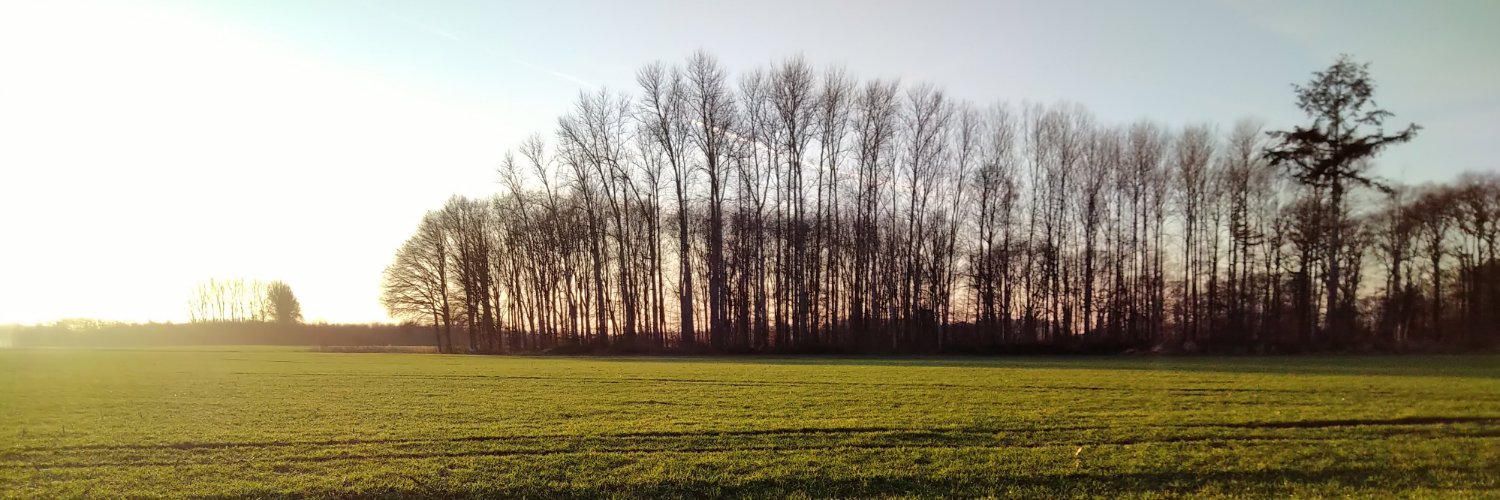 Christian Prüßing banner