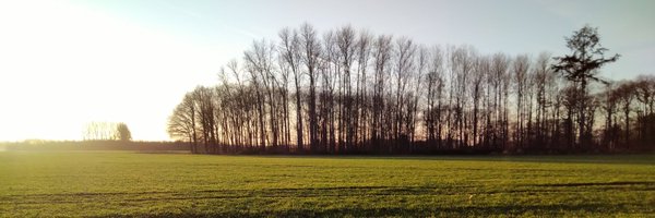 ChrisPruessing Profile Banner