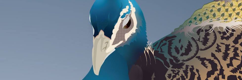 naka3ws's profile banner image