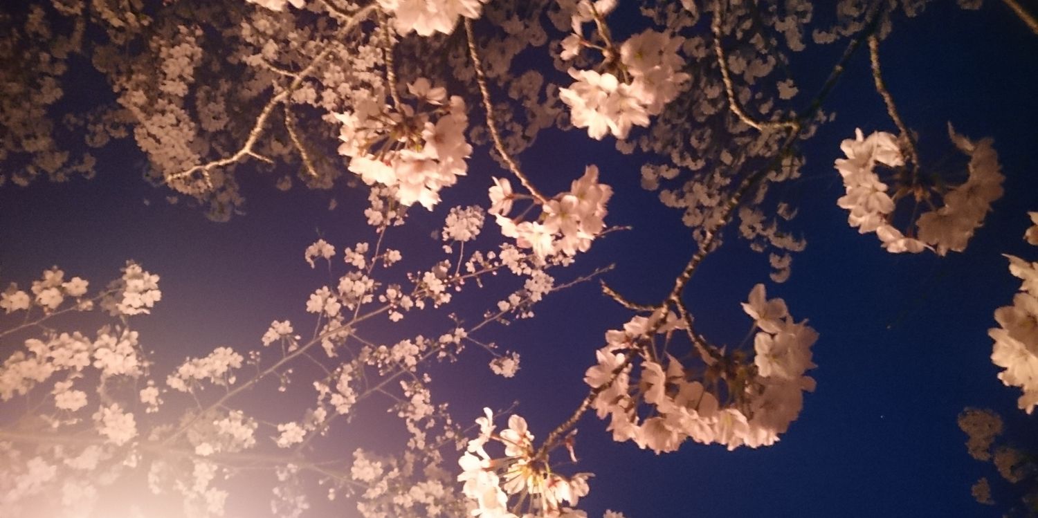 InNekoworld's profile banner image
