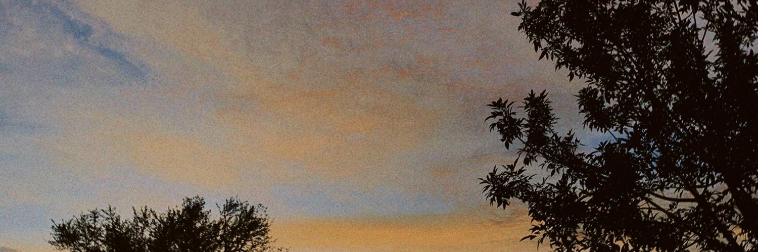 _saraber_'s profile banner image