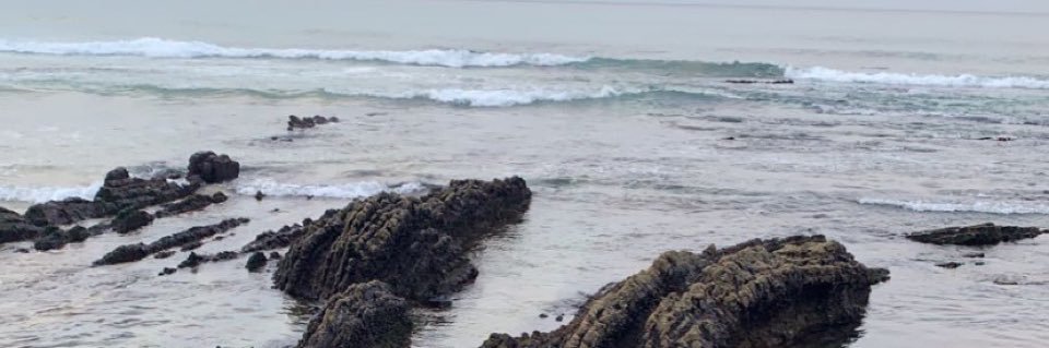 francisco_D2's profile banner image