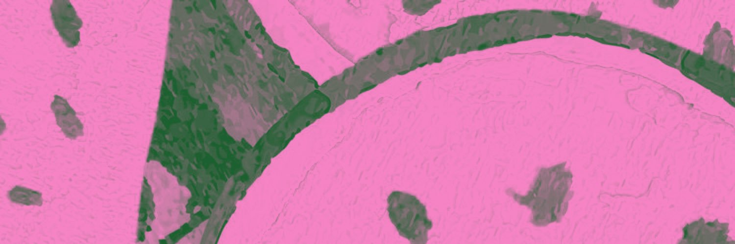 auzeora's profile banner image